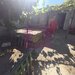 TEREN 308 MP CU CONSTRUCTIE EXISTENTA –  SECTOR 5 zona Rahova